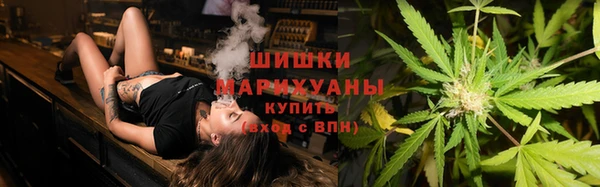 крисы Бородино