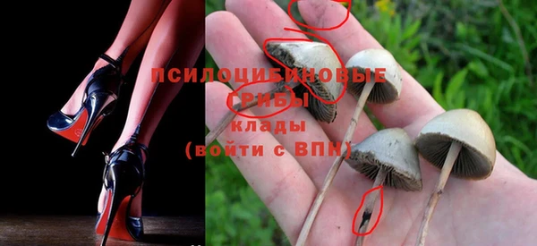 сатива Верея