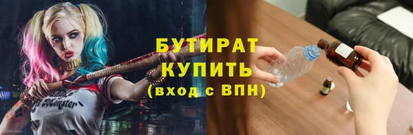 сатива Верея