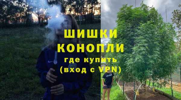 тгк Грязовец
