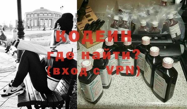 сатива Верея
